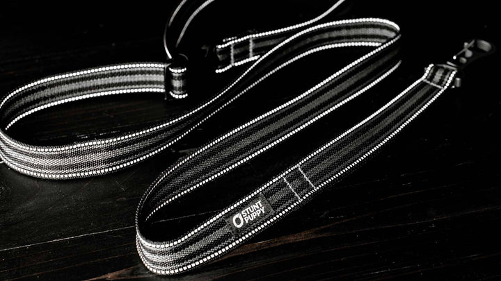 Black Leash Go Dog Glo™ Everyday