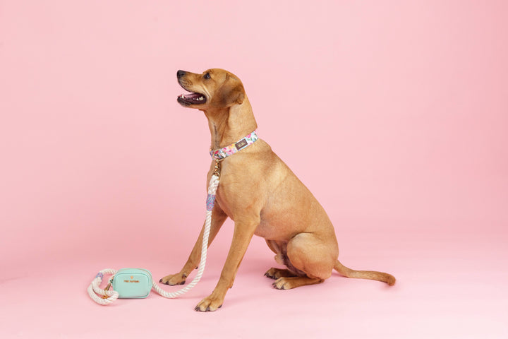 Magnolia Tinsel Rope Leash