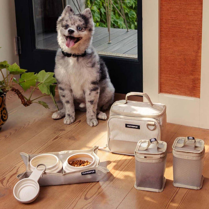 Bistro Box Dog Food Travel Kit