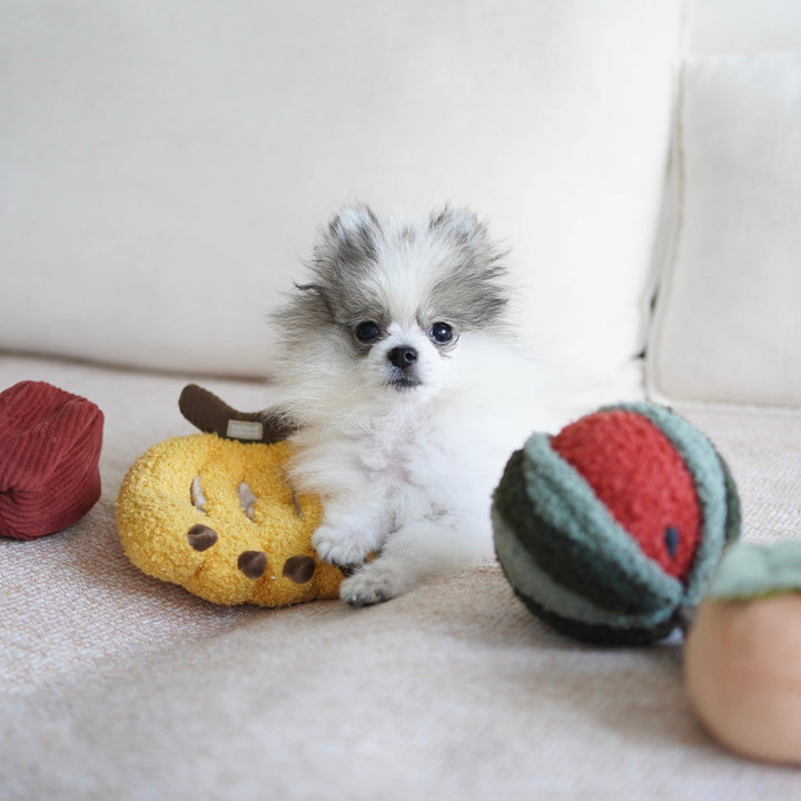 Fruit Set Enrichment Snuffle Toy Set