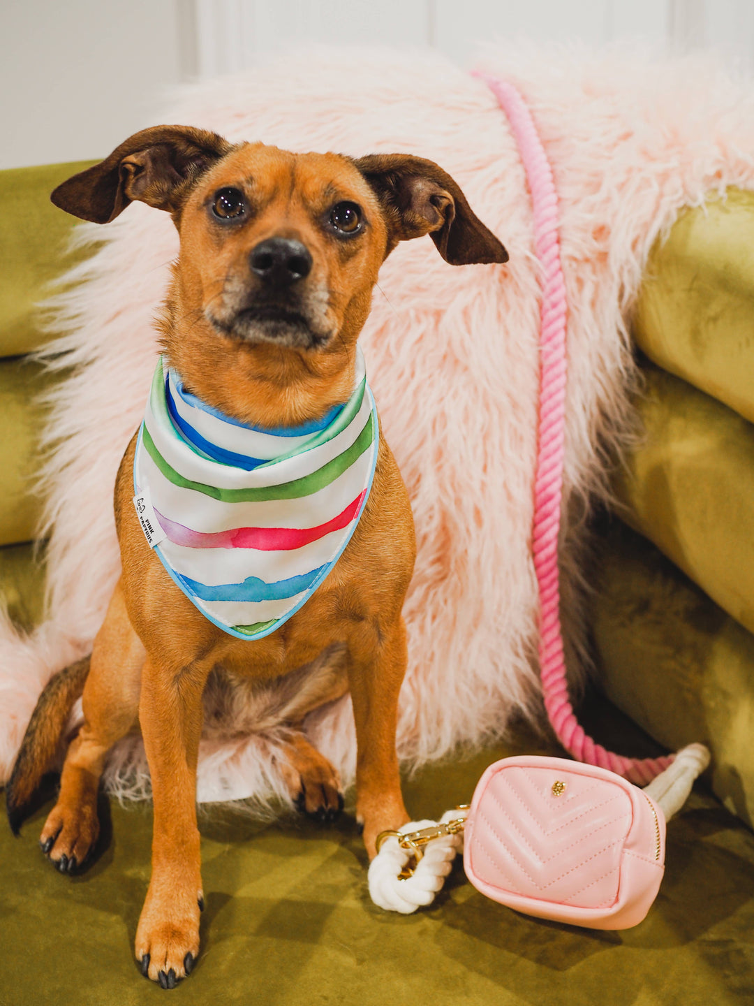 Kylie Pink Vegan Leather Poop Bag Dispenser &amp; Treat Pouch