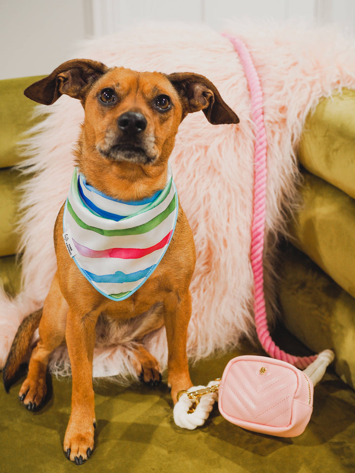 Kylie Pink Vegan Leather Poop Bag Dispenser &amp; Treat Pouch