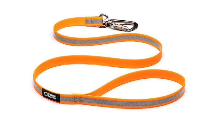 Dry Leash Go Dog Glo™