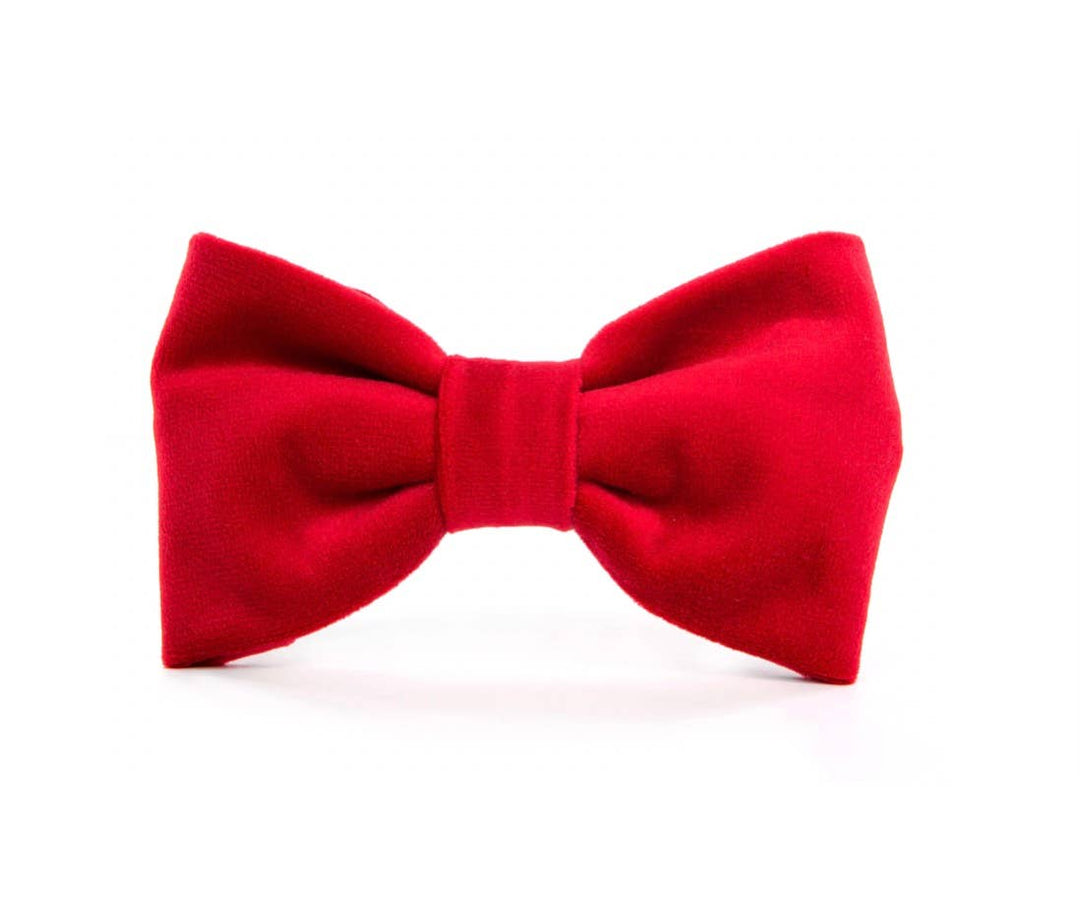 Cranberry Velvet Day Dog Bow Tie