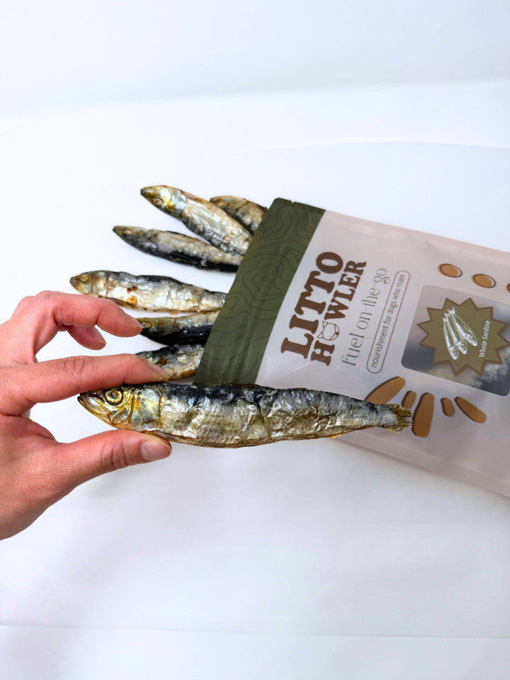 Whole Sardines Dehydrated | 3 oz