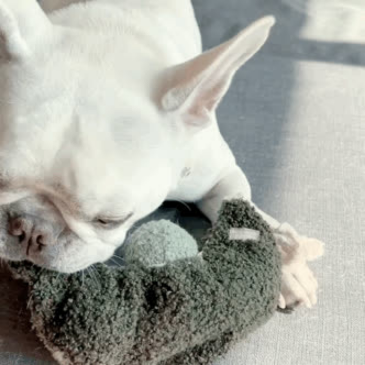 Pea Pop Enrichment Snuffle Toy