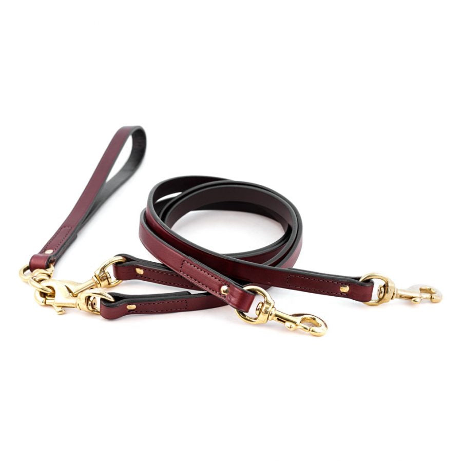 Leather Two Dog Walker / No Tangle Leash