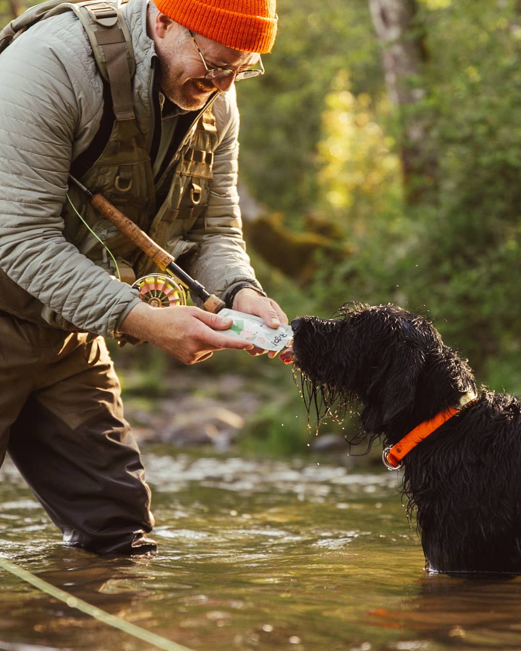 Organic Salmon Squeeze Pouch for Dogs