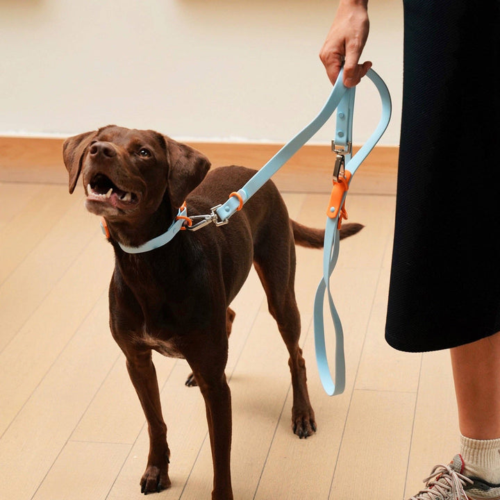 USA - The Fritz Dog Leash | Leash wit Handle | Multi Dog Leash