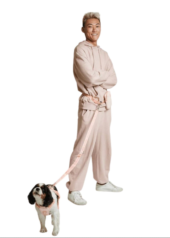 Hands-Free Leash for Dogs