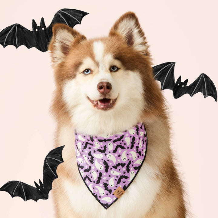 Spooky Season Reversible Dog Bandana