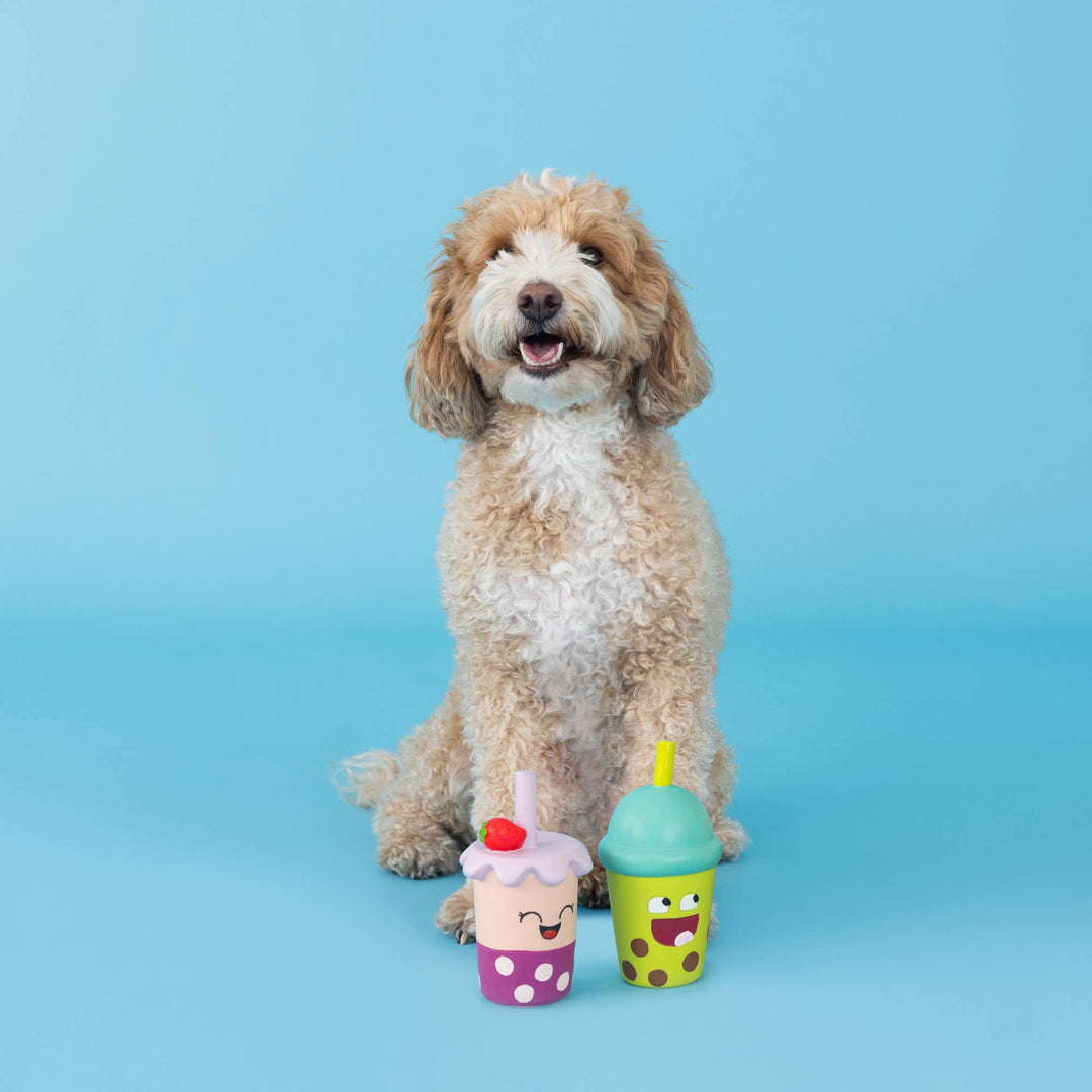 Best-Teas Latex Dog Toys Set of 2