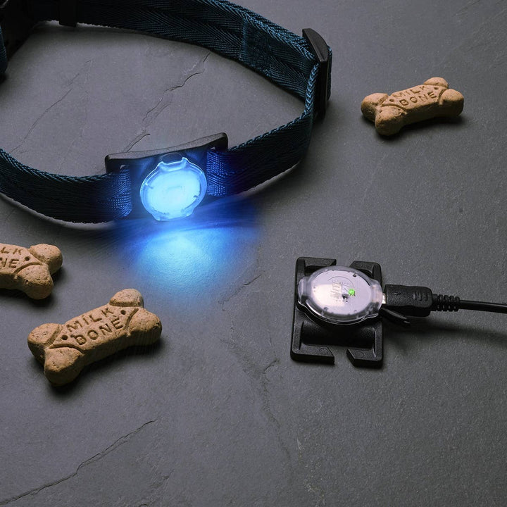 NiteDog™ Rechargeable Pet Light - Disc-O Tech™