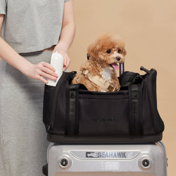 Onboard Travel Pet Carrier (Airline Compliant)