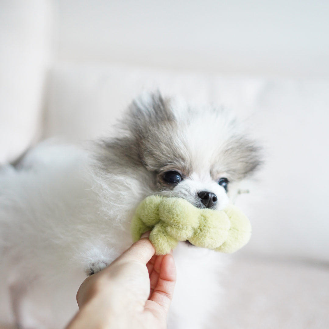 Apple Enrichment Toy Set - Snuffle Toy