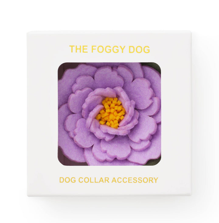 Lilac Peony Dog Collar Flower