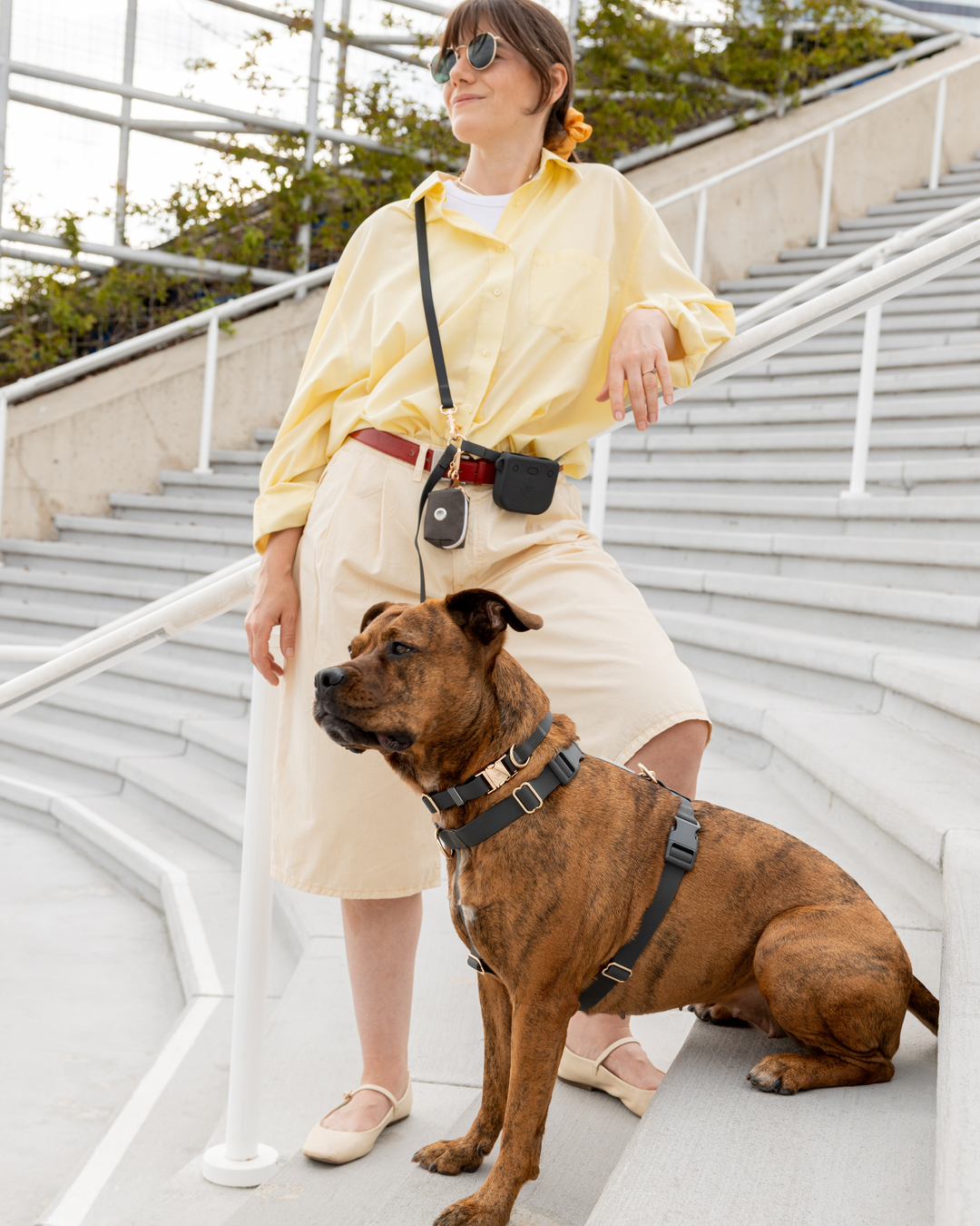 Ember Black 4-in-1 Convertible Hands Free Cloud Dog Leash