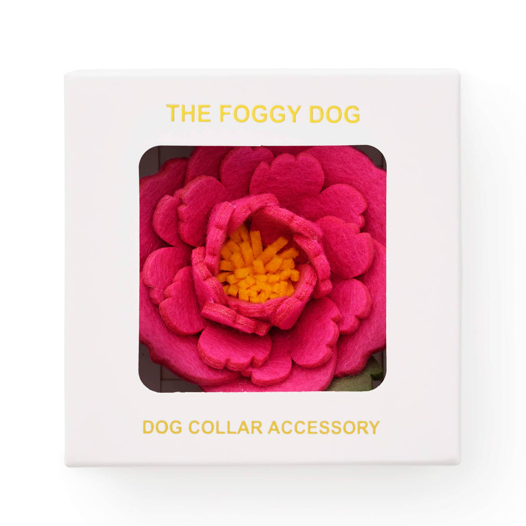 Peony Spring Dog Collar Flower Attachment