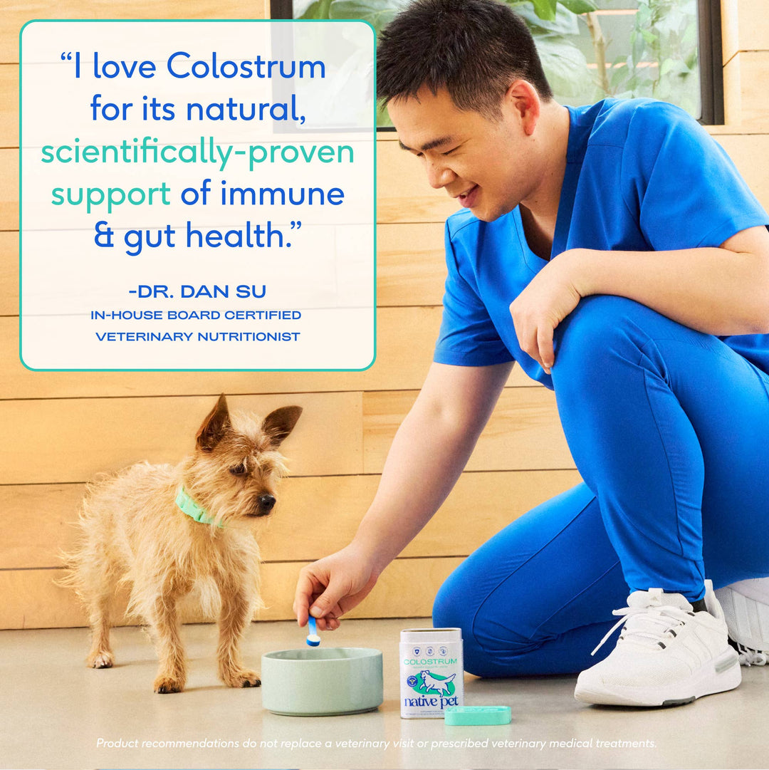Colostrum Immune System Powder Supplement for Dog