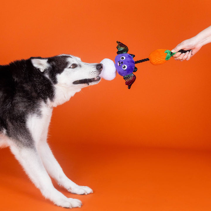 Literally Dead Cute Plush Dog Toy