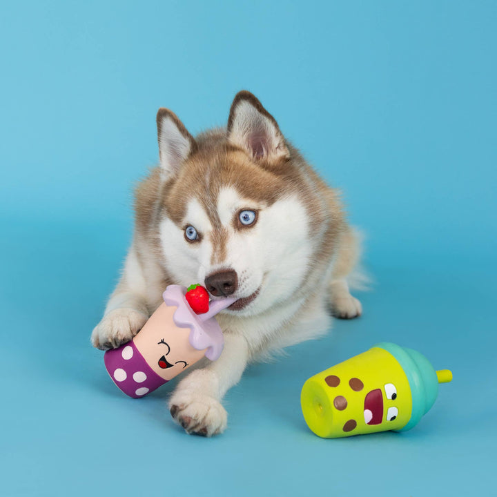 Best-Teas Latex Dog Toys Set of 2