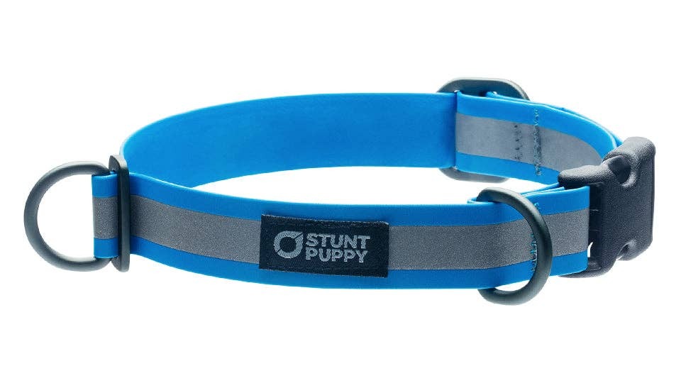 Collar Go Dog Glo Dry