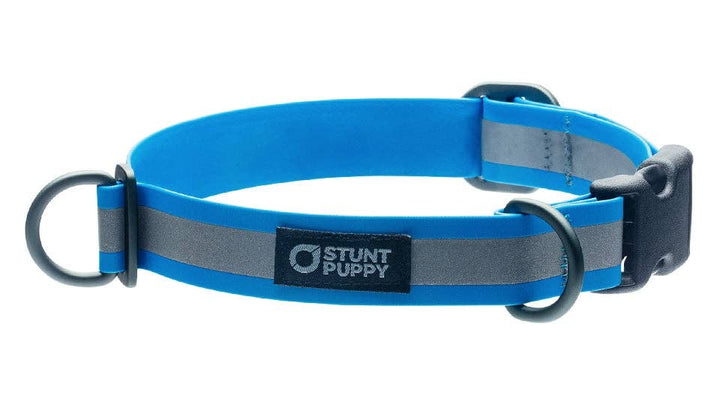 Collar Go Dog Glo Dry