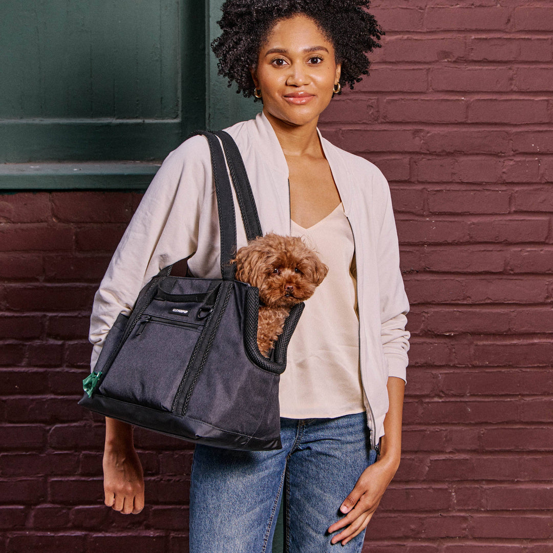 Transit Tote Dog Carrier