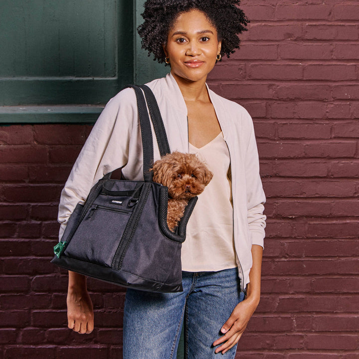 Transit Tote Dog Carrier