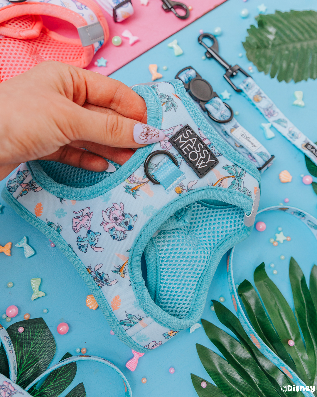 Cat Collar - Disney&