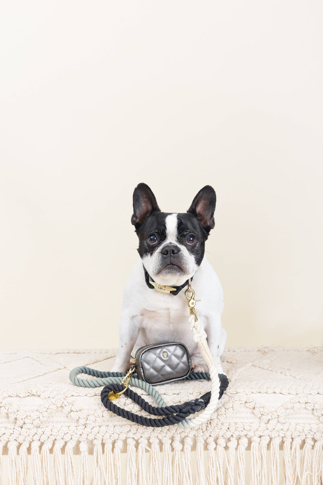 Cairo Black and Grey Rope Leash