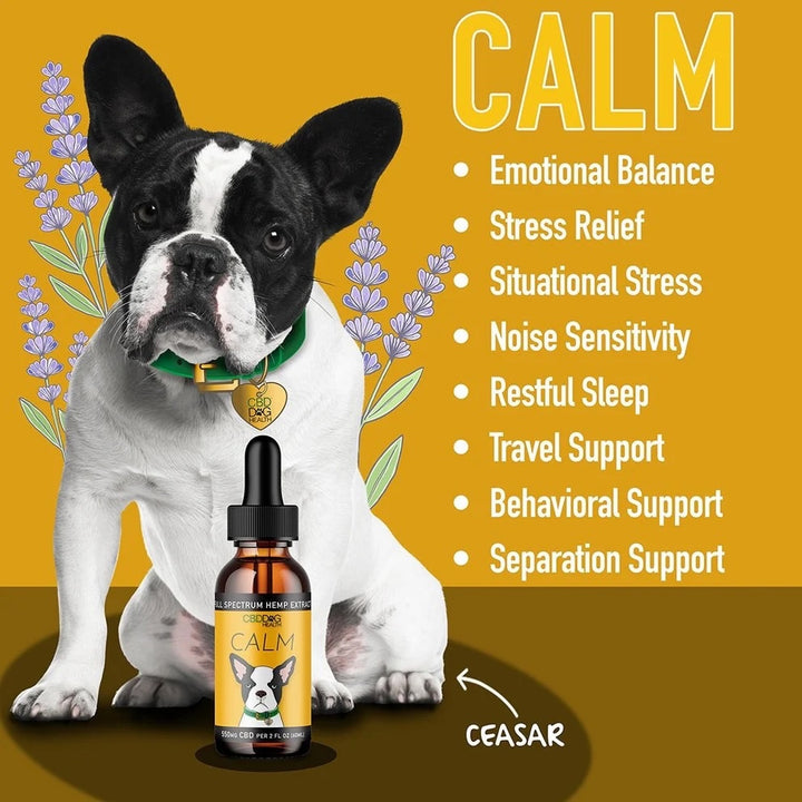 CALM: Organic CBD For Dogs - Travel, Noise &amp; Stress Support for Dogs