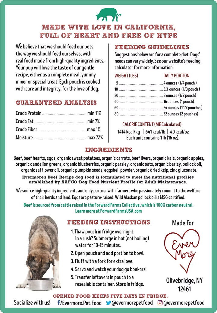 Beef Recipe