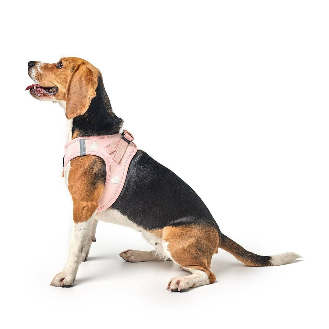 SoHo Dog Harness Hearts