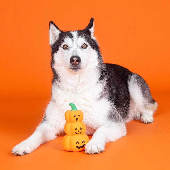 Go Big or Gourd Home Latex Dog Toy