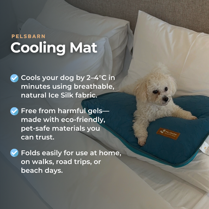 Natural Cooling Mat - Pelsbarn helps shelter dogs!