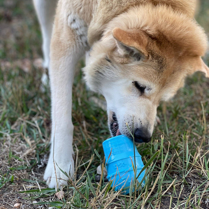 Ice Cream Cone Durable PUP-X Rubber Chew Toy &amp; Treat Dispenser