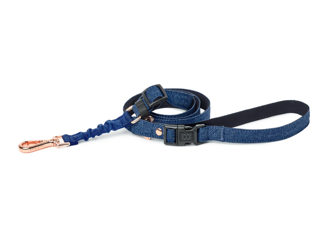 3-in-1 City Dog Leash - Denim