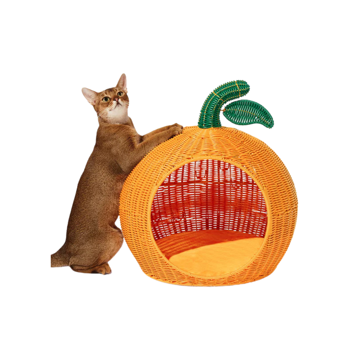 Tangerine Rattan Pet Bed