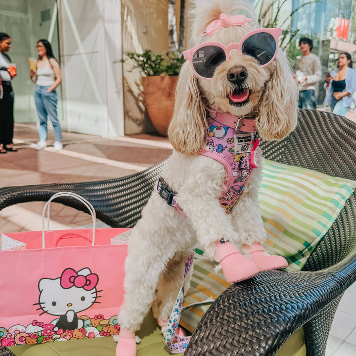 Hello Kitty® &amp; Friends Flower Festival - Adjustable Harness