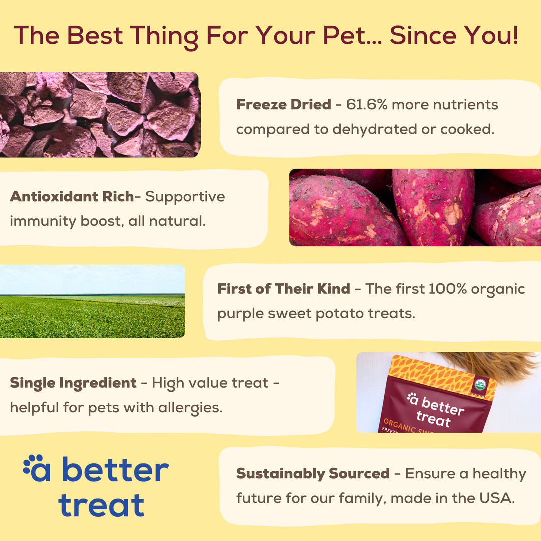 Organic Purple Sweet Potato