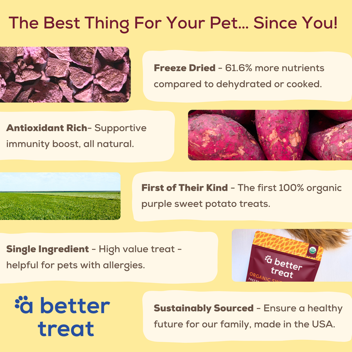 Organic Purple Sweet Potato