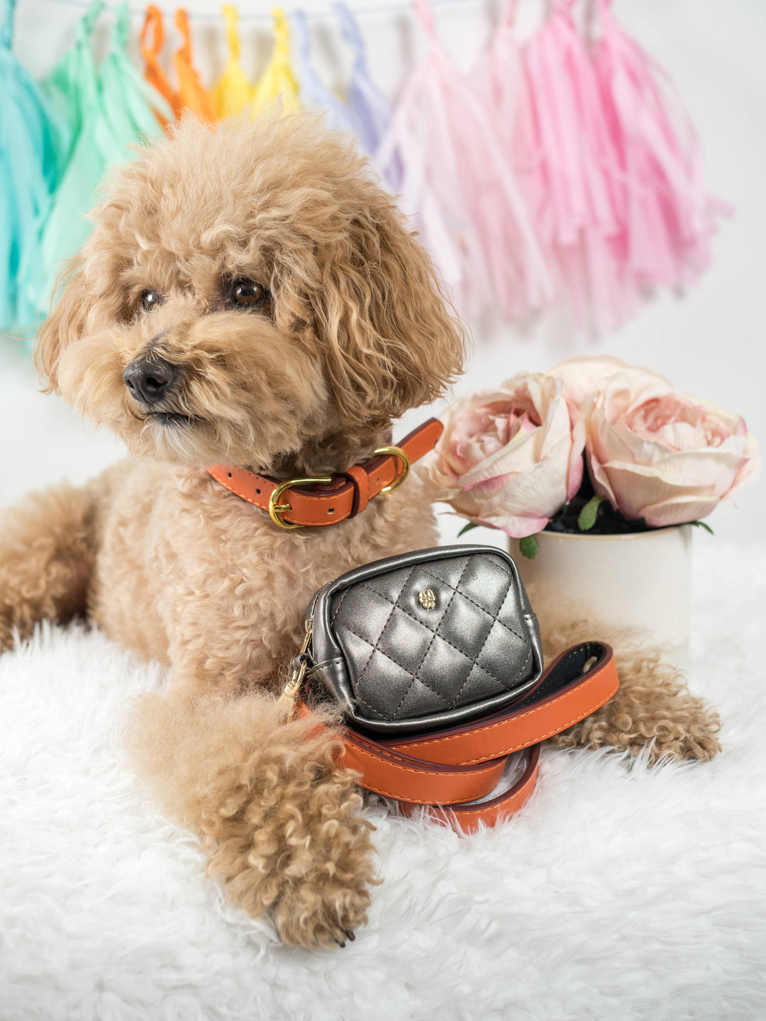 Melissa Vegan Leather Poop Bag Dispenser &amp; Treat Pouch