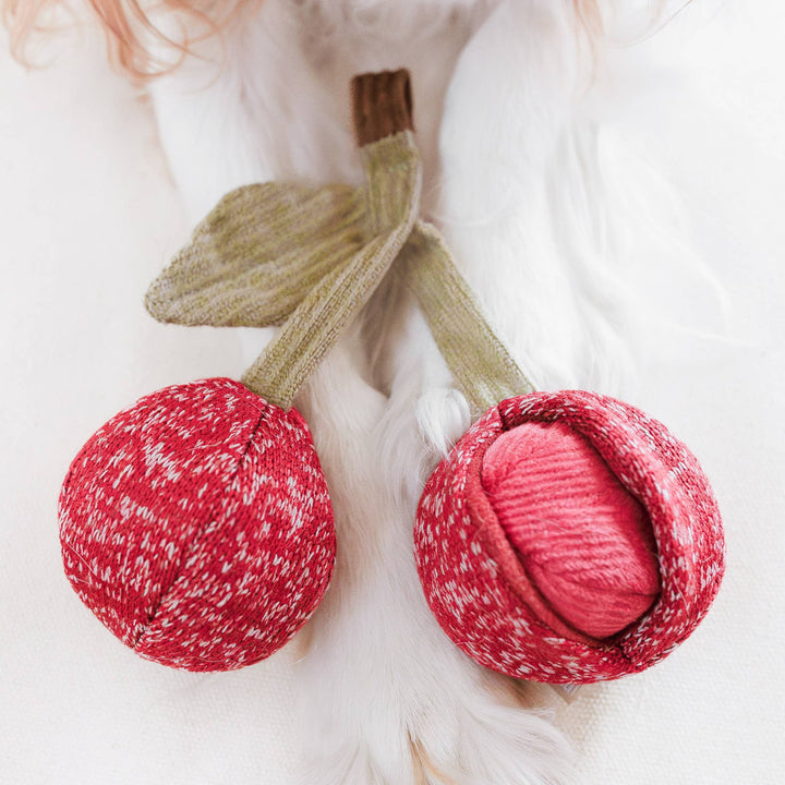 Cherry Pop Enrichment Dog Toy