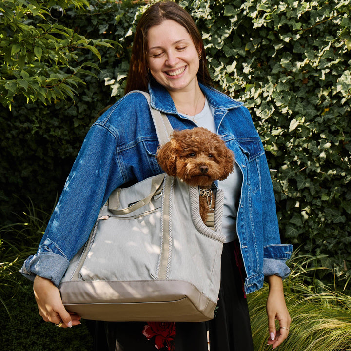 Transit Tote Dog Carrier
