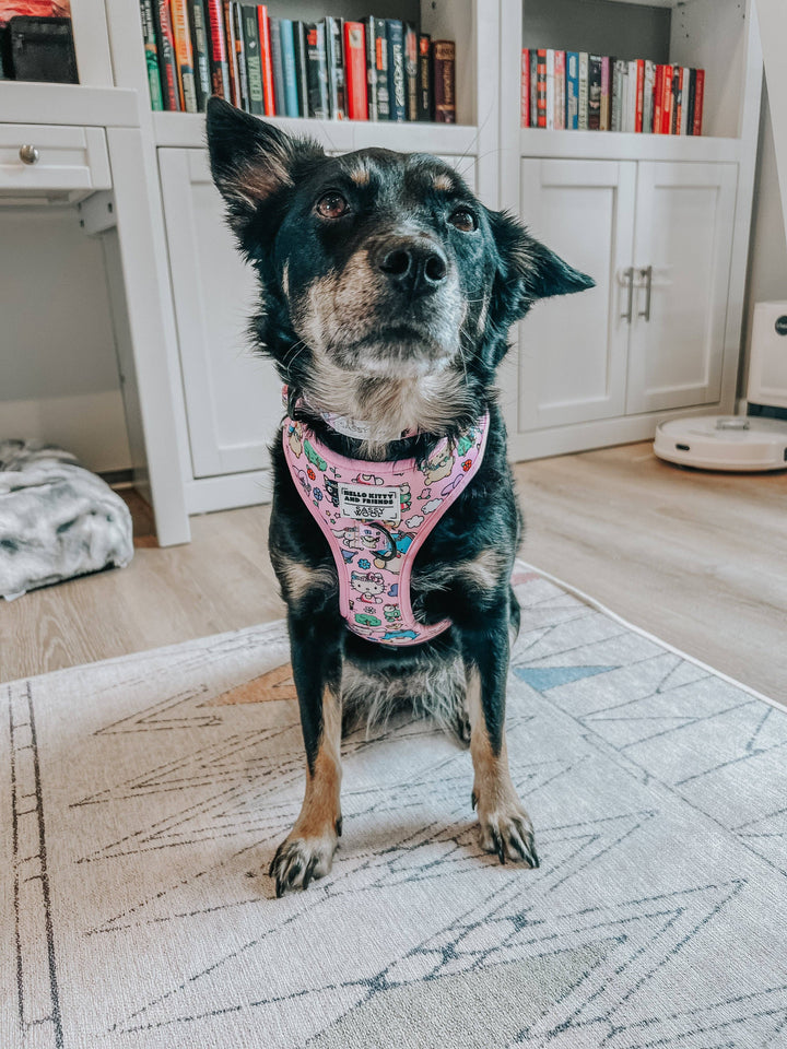 Hello Kitty® &amp; Friends Flower Festival - Adjustable Harness