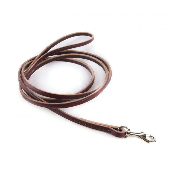 Small Dog Lead / Leather Training Leash