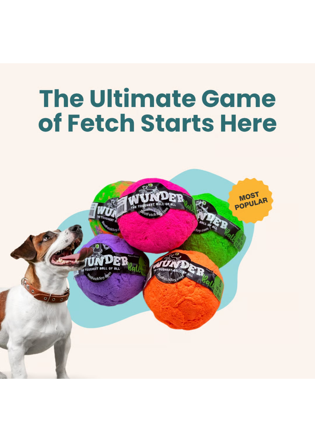 Fetch Toy
