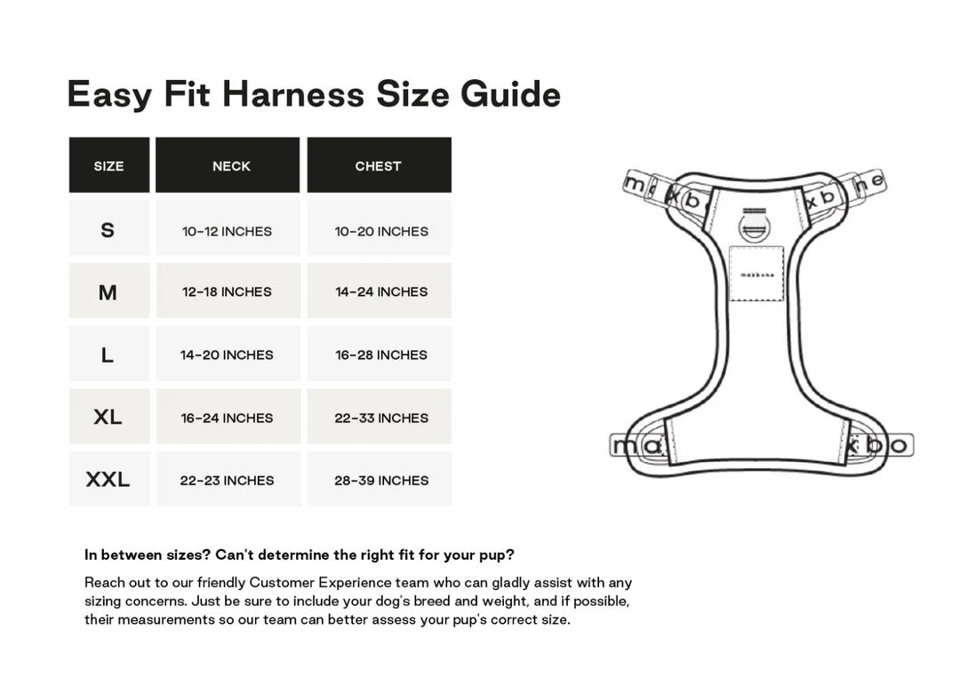 Harness Easy Fit for Dogs