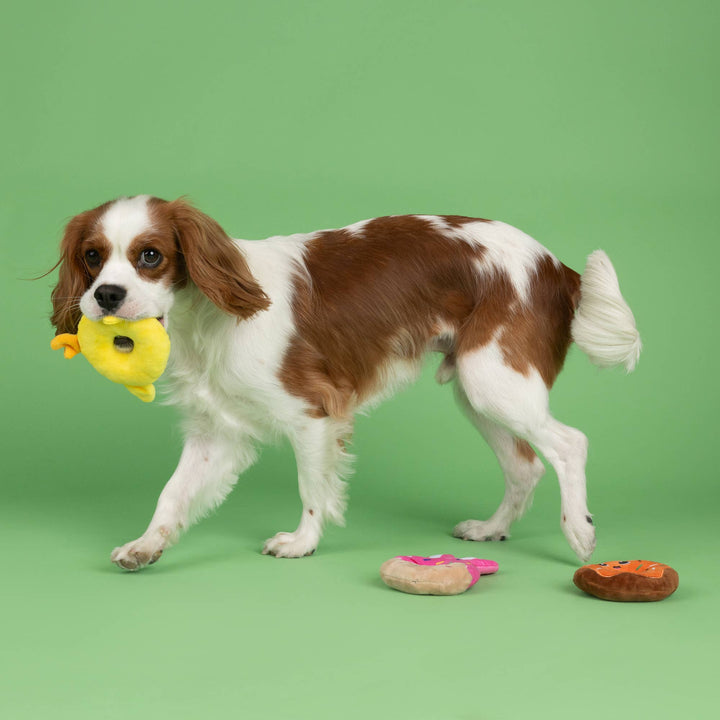 Holey Donuts 3 Pcs Small Dog Toy Set
